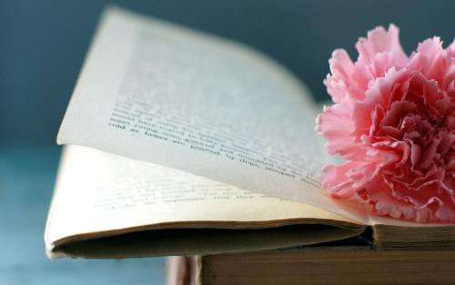 知网论文查重结果如何看?