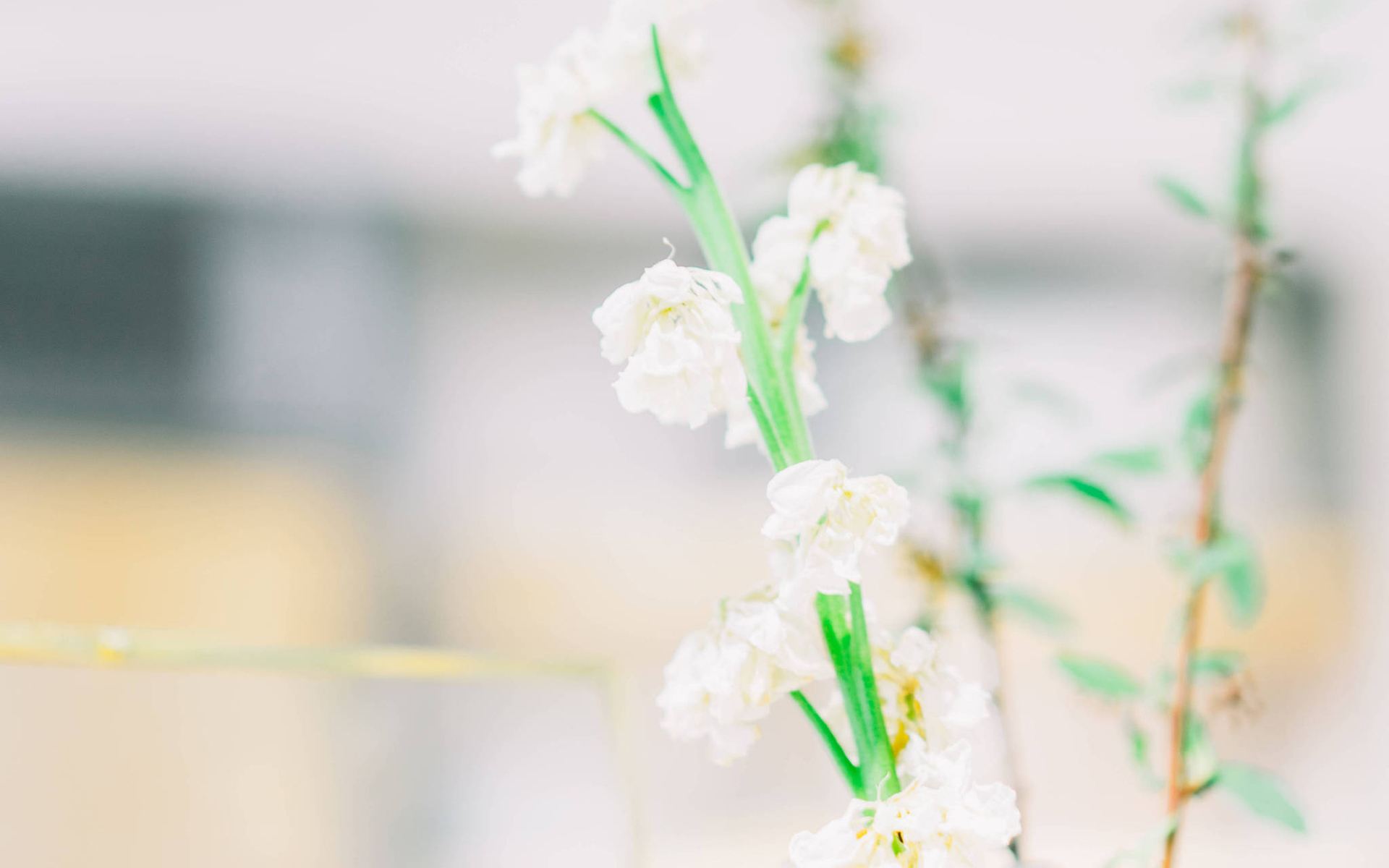 论文添加脚注时有什么方法跟步骤