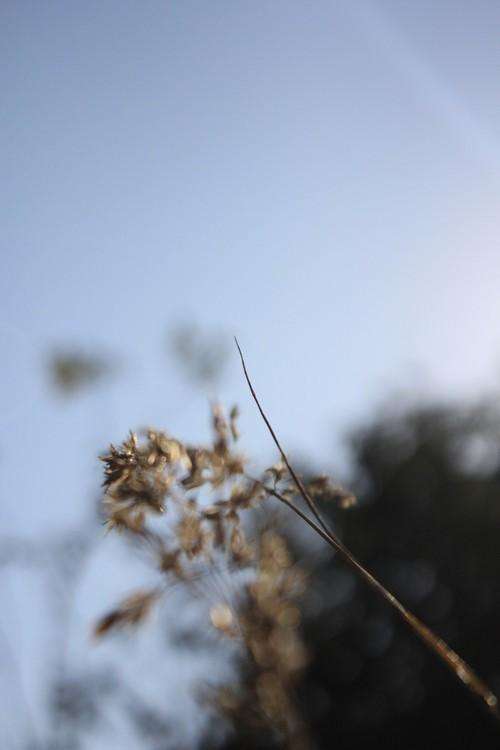 本科毕业论文查重率标准是多少？