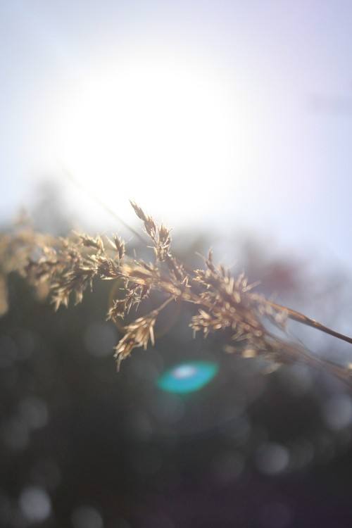 SCI论文查重要求是什么？