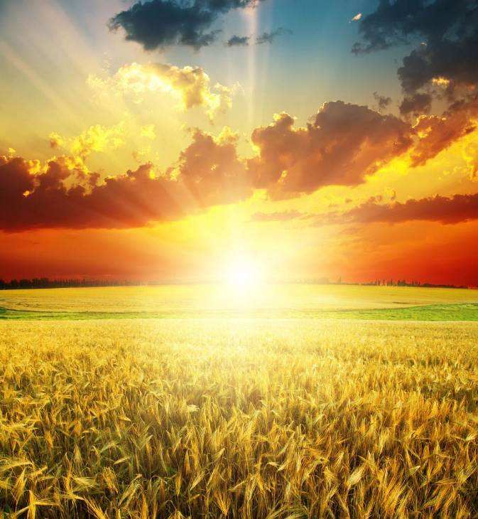 知网查重规则有哪些？