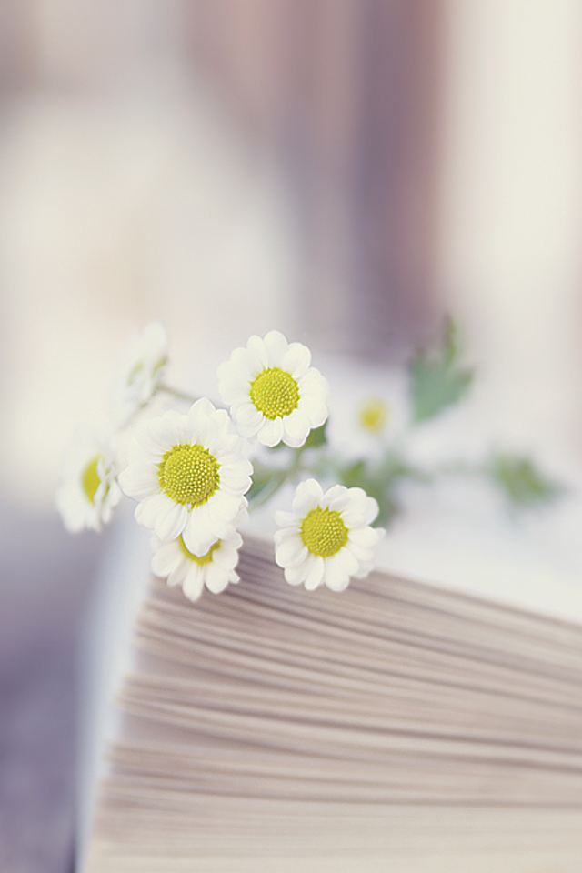 硕士论文查重图片可以查出来吗