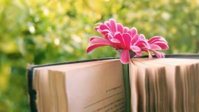 免费论文检测网站安全吗