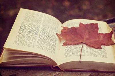 日语毕业论文查重怎么查？