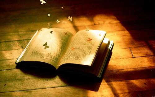 中国知网论文查询