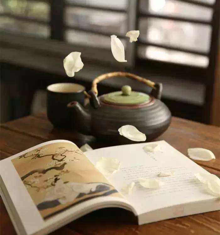 论文参考文献中J、M等是什么意思？