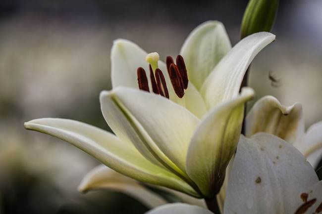 怎样顺利通过检测论文抄袭软件的检查