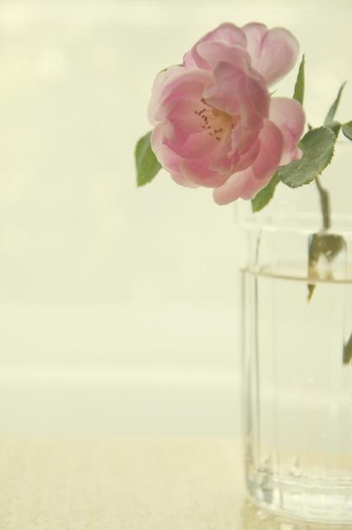 毕业论文排版时遇到的误区