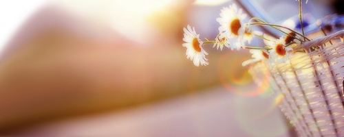 知网论文检测入口在哪里？