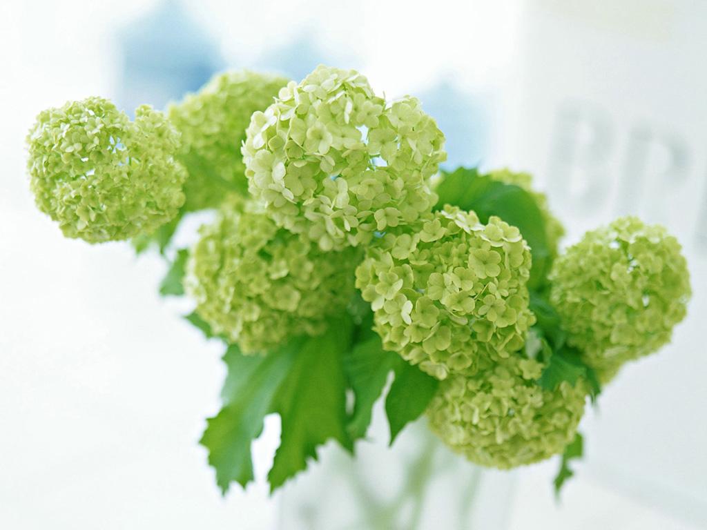 关于启用课程论文查重检测系统的通知