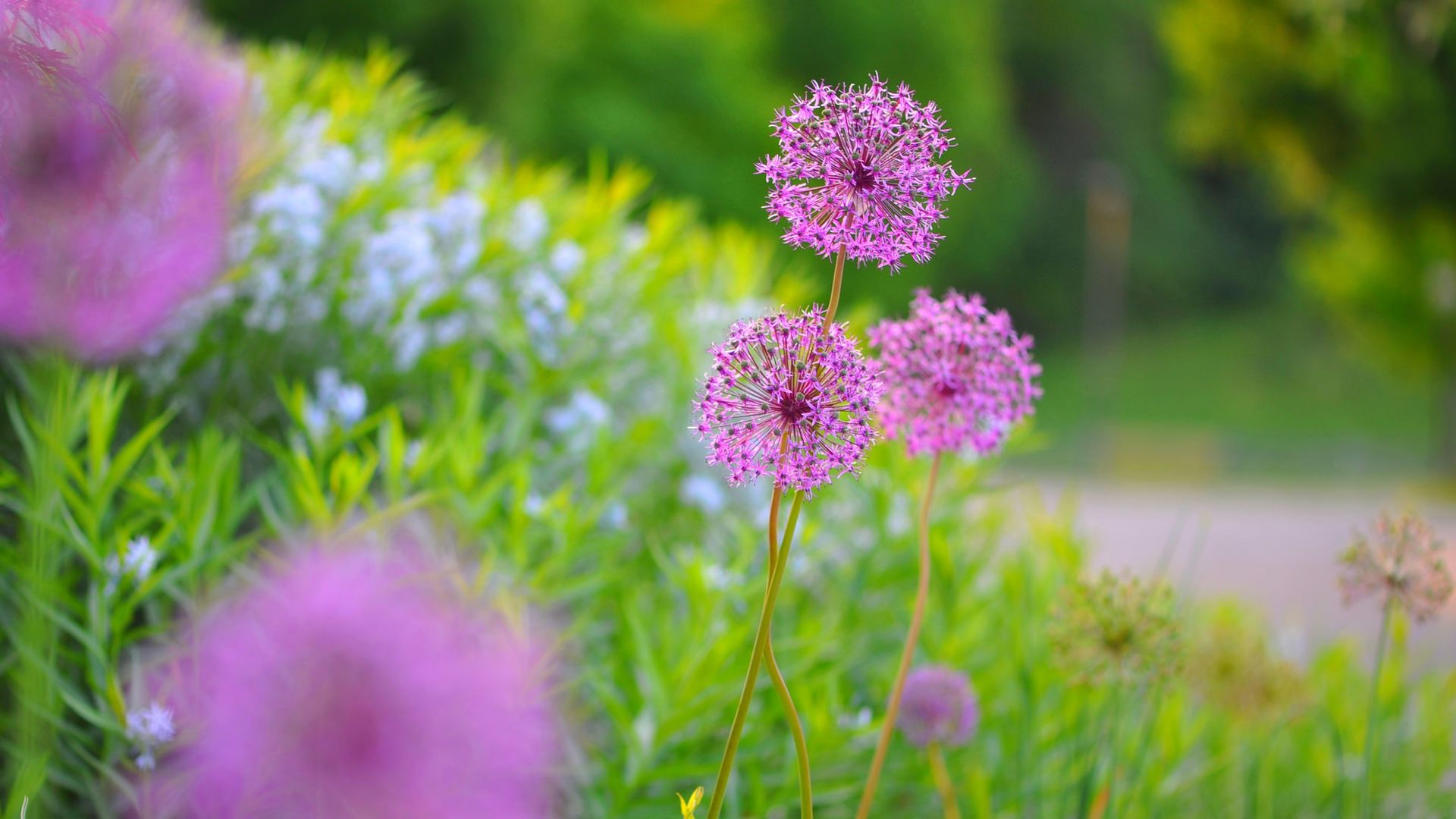 知网查重系统会否检测论文中的公式及图片?