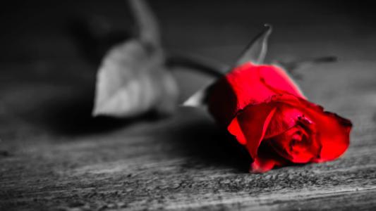 中国硕士知网查重查重软件哪个好